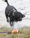 20170820-cwd-0119