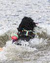 20170820-cwd-0132