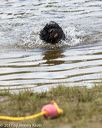 20170820-cwd-0179