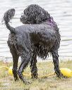 20170820-cwd-0194