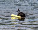 20170820-cwd-0227
