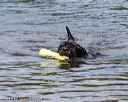 20170820-cwd-0228