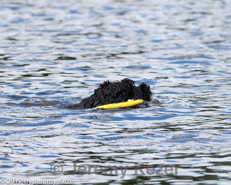 20170820-cwd-0163.jpg