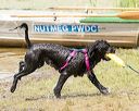 20170820-jwd-0032