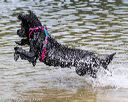 20170820-jwd-0051