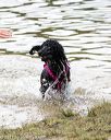 20170820-jwd-0102