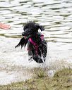 20170820-jwd-0103