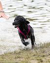 20170820-jwd-0107