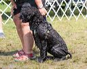 20170820-jwd-0257