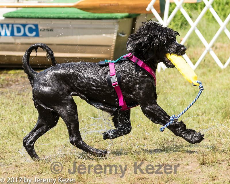 20170820-jwd-0034.jpg