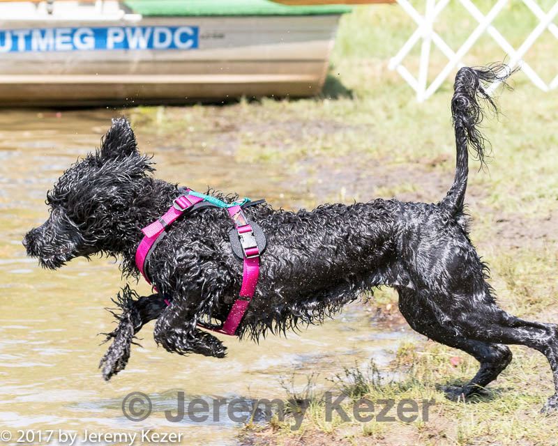 20170820-jwd-0047.jpg