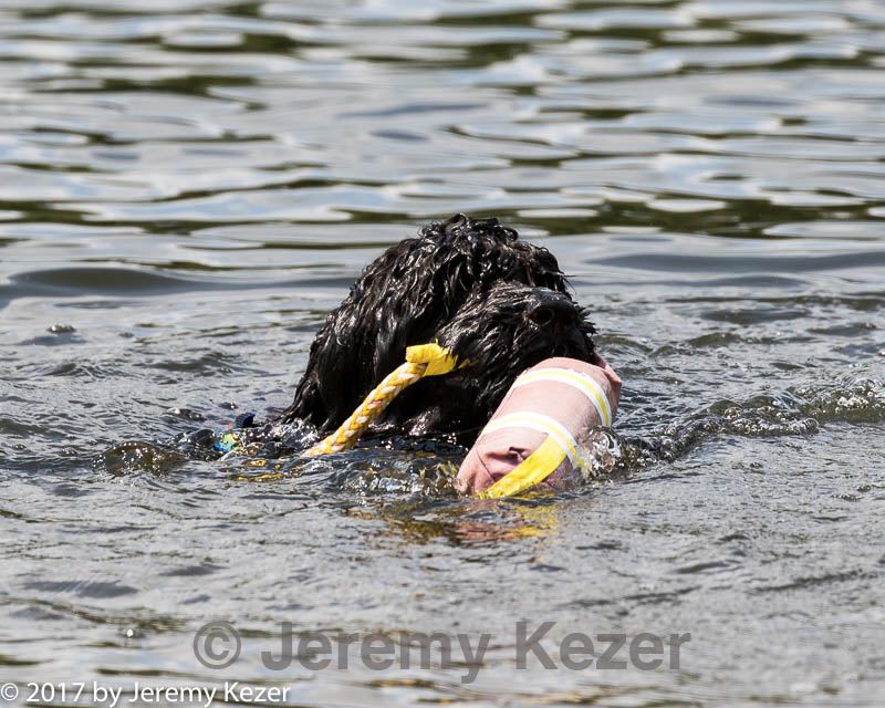 20170820-jwd-0272.jpg