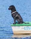 20170820-mwd-0005