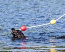 20170820-mwd-0074