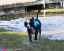 20170820-mwd-0174