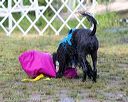 20170820-mwd-0176