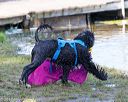 20170820-mwd-0177