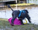 20170820-mwd-0179
