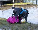 20170820-mwd-0180