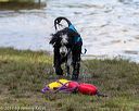 20170820-mwd-0233