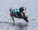 20170820-mwd-0263