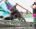 20170820-mwd-0314