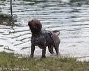 20170820-mwd-0323