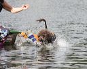 20170820-mwd-0350