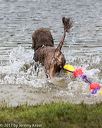 20170820-mwd-0398