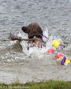 20170820-mwd-0406