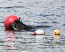 20170820-wwd-0078