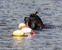 20170820-wwd-0083