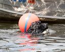 20170820-wwd-0233