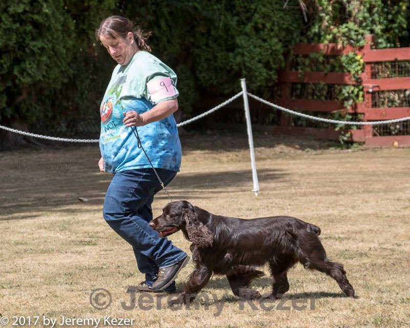 20170825-bdm-0157.jpg