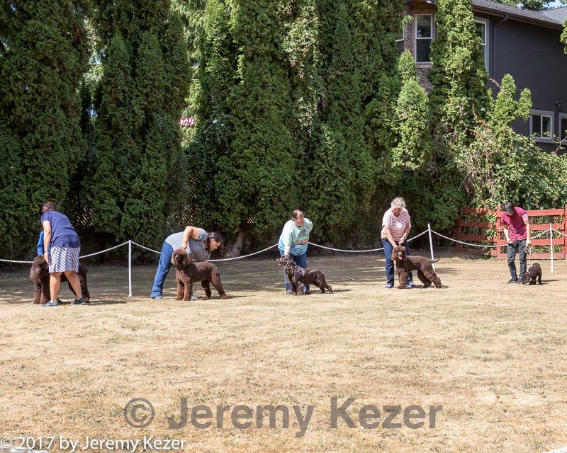 20170825-bdm-0173.jpg