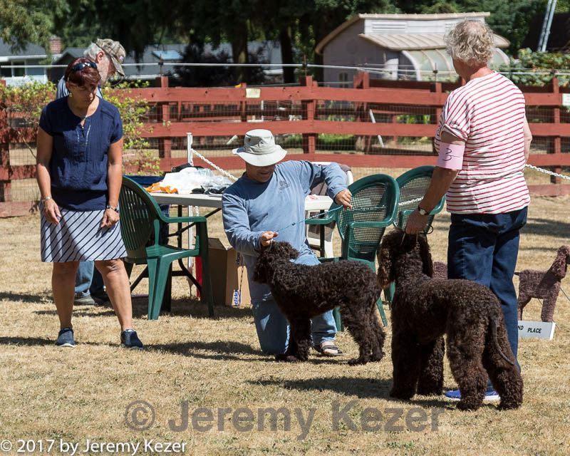 20170825-bdm-0015.jpg