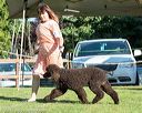 20170825-co-0510