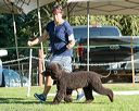 20170825-co-0448
