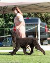 20170825-co-0069