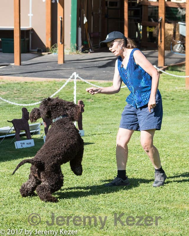 20170825-freestyle-0007.jpg