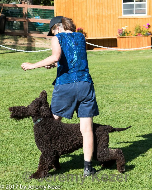 20170825-freestyle-0016.jpg