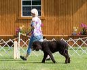 20170825-ob-0271