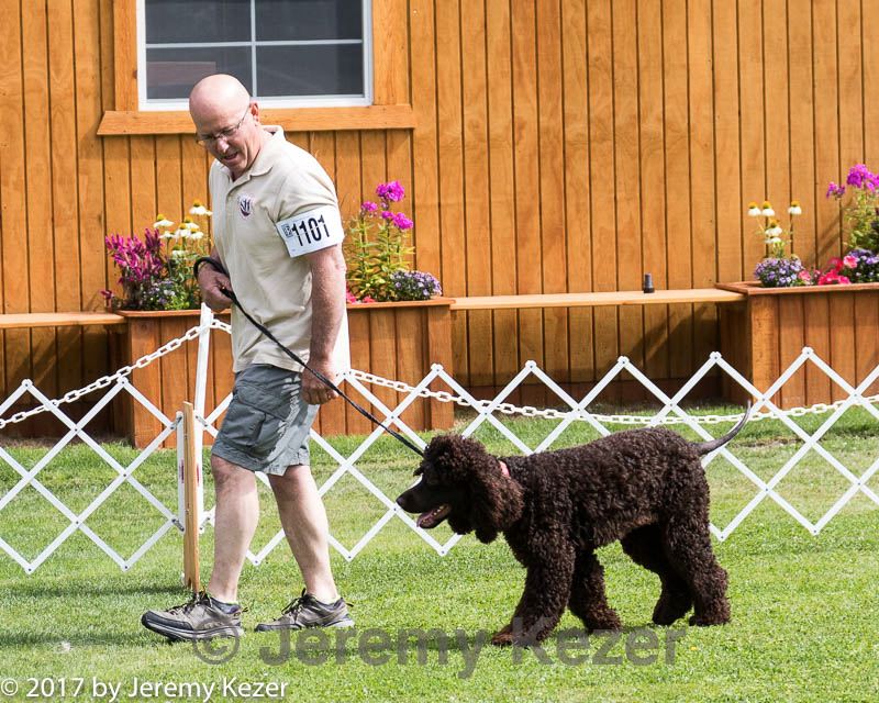 20170825-ob-0318.jpg