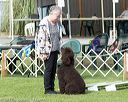 20170825-ob-0163