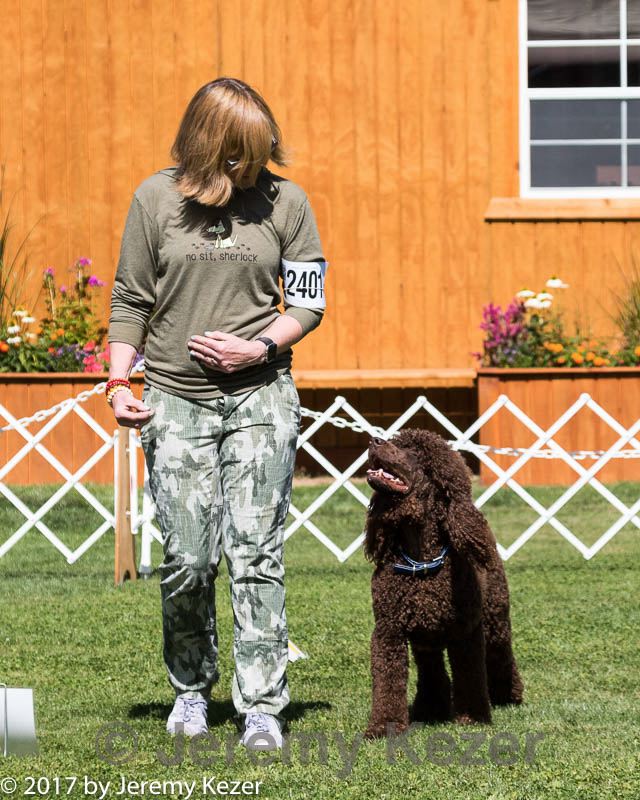 20170825-ra-0148.jpg