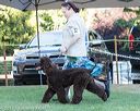 20170826-co-0527