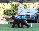 20170826-co-0529