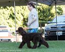 20170826-co-0531