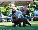 20170826-co-0364