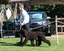 20170826-co-0004